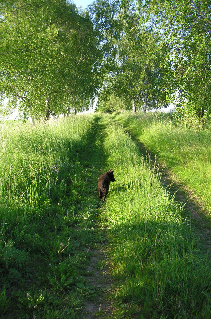 foto
